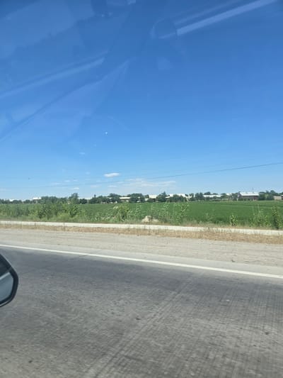 The image captures a roadside view of agricultural fields and buildings under a clear blue sky in Kalavrаncha, Uzbekistan. In the foreground, a paved road with a white line marking its edge dominates the lower portion of the frame. A car's side mirror is visible in the bottom left corner. Beyond the road, a strip of dry, yellowish grass separates it from a vast, vibrant green field. This field stretches towards a line of trees and houses in the middle ground. The houses appear to be low-rise structures, some with white or light-colored walls and pitched roofs. A few scattered clouds are present in the sky. Power lines are visible spanning horizontally across the scene, further back from the fields. The overall impression is one of a rural or semi-rural landscape on a sunny day.