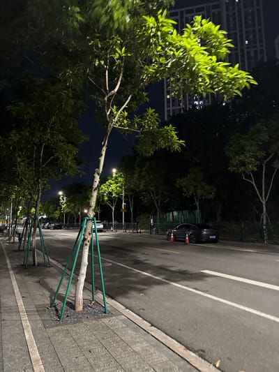 The image depicts a street scene at night in Haizhu District, China. A row of young trees with green support stakes lines the left side of the paved sidewalk. The trees are illuminated, with some leaves appearing bright green. Beyond the trees, a dark road with white lane markings stretches into the distance. Several parked cars are visible on the right side of the road, with traffic cones placed in front of one black sedan. Streetlights are present, casting pools of light on the road and sidewalk. In the background, a tall, modern building with illuminated windows rises against the dark night sky. The overall environment suggests an urban setting, possibly a residential or commercial area, at night.