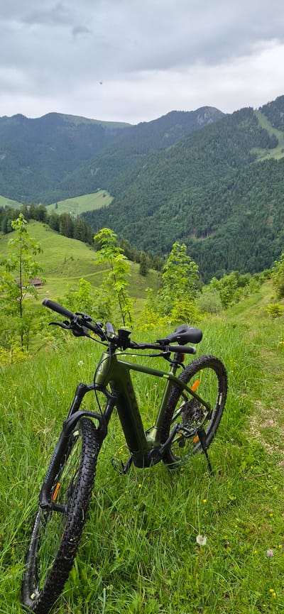 The image depicts a static scene of a green electric mountain bike (e-bike) parked on a vibrant green, grassy hillside in a mountainous region, specifically in Erl, Austria, under an overcast sky.
In the foreground, a dark green e-bike is positioned at an angle, facing slightly to the left, with its kickstand deployed. The bike features a frame with "FOCUS" branding, black handlebars equipped with grips, brake levers, and a small front light/display unit. It has front suspension forks (bearing "ROCKSHOX" branding), knobby tires that show signs of mud, and disk brakes. A black seat is visible, along with a red reflector on the seat post and an orange reflector on the front wheel spokes. The immediate ground beneath and around the bike is covered in dense, tall green grass interspersed with small yellow wildflowers and a solitary dandelion seed head.
The mid-ground reveals a lush green hillside, sloping upwards to the right where a narrow dirt path or track is visible winding through the grass. Scattered young trees with bright green foliage are present, framing the view towards the background.
The background is dominated by multiple layers of green mountains, heavily forested with coniferous trees, extending into the distance. Valleys are carved between these mountains, revealing more forested slopes and some lighter green, possibly grassy, clearings. On the far left, a small, light-colored building with a red roof is discernible in a valley amidst green fields. Towards the right, a cleared section on a mountain slope suggests a ski run. The sky above is entirely overcast with soft grey clouds, and a small, dark, indistinct object (possibly a bird or insect) is visible against the cloud cover in the upper left quadrant. No people are present in the scene.