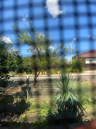 The image depicts a backyard scene in Akhtyrskiy, Russia, viewed through a wire mesh fence. In the foreground, a spiky green yucca plant dominates the right side of the frame. Behind it, a chain-link fence runs horizontally across the image, partially obscuring a dirt path and dry grass. Beyond the fence, a tree with green foliage stands to the left, casting a shadow. Further back, a brown wooden fence encloses the property, and a single-story house with a brown roof is visible on the right. The sky above is a bright blue with scattered white clouds, and power lines stretch across the upper portion of the image.