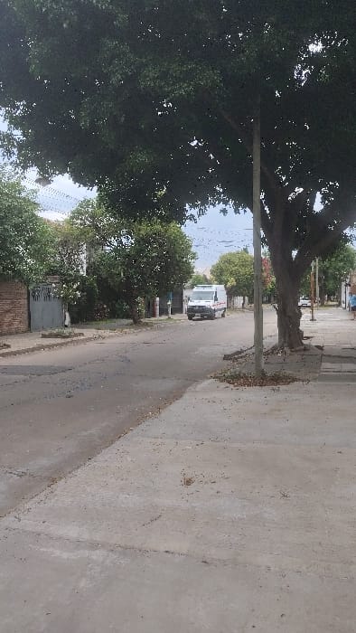 A residential street scene shows a white van parked further down the road. A large, leafy tree dominates the left side of the frame, casting shadows on the road. The street is lined with sidewalks and hints of houses behind the trees. The right side of the image displays a close-up view of the concrete sidewalk, revealing its texture and imperfections.