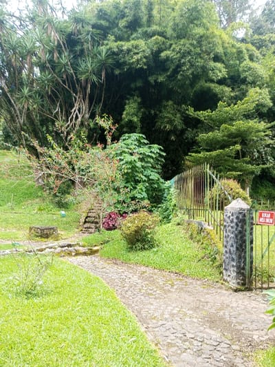 A stone path winds through a lush green landscape. The path leads to a set of stairs and a gate with a sign in a foreign language. Verdant trees and plants, including bamboo and a vibrant red bush, surround the path. A stone structure sits on the left side of the path, adding to the natural scenery. A mossy area indicates a potentially wet or damp environment. The overall scene evokes a serene and secluded natural setting.