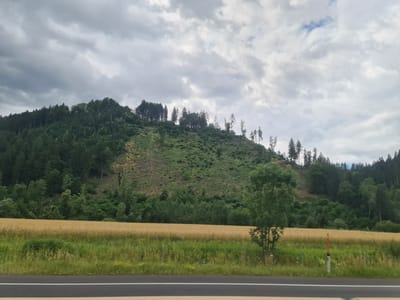 The image depicts a landscape in Sankt Michael in Obersteiermark, Austria. The scene features a hillside with a section of deforestation, revealing bare earth and scattered trees. Dense evergreen forest covers the upper part of the hill and the adjacent areas. In the foreground, a field of golden crops, likely wheat or barley, stretches across the frame. A road with a white line separates the field from the viewer. The sky is overcast with dramatic, grey clouds. There are no people or animals visible in the image. The overall impression is one of rural scenery with evidence of human impact on the natural environment.