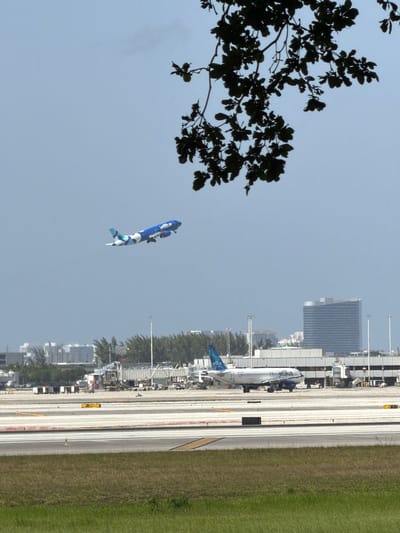 The image captures a view of Fort Lauderdale-Hollywood International Airport in Dania Beach, Florida, United States of America. In the foreground, green grass covers the ground with an airport runway visible beyond it. The runway features white and yellow markings. Further in the distance, several airplanes are visible. One JetBlue airplane is in the sky, ascending. Another JetBlue airplane is on the tarmac, about to take off. A tall, modern, grey building stands in the background, with other airport structures, trees, and city buildings visible around it. A branch with dark green leaves hangs from the top of the frame, partially obscuring the sky. The sky itself is a pale blue with no visible clouds.