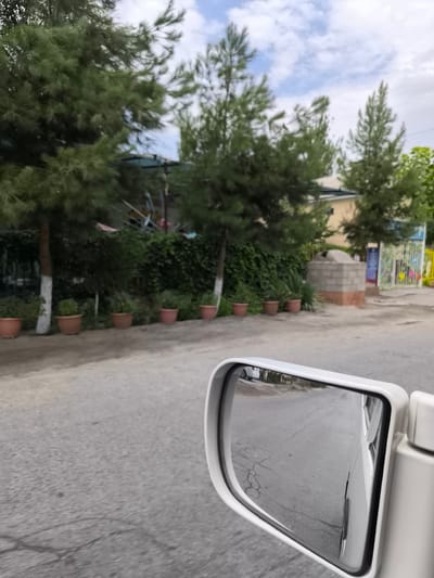 The image is a photograph taken from a vehicle, focusing on the side-view mirror. The mirror reflects a cracked asphalt road with faint tire marks. In the background, visible both directly and in the reflection, are several tall, slender coniferous trees. Adjacent to the trees is a low, green hedge, and behind that, a building with a light-colored facade and a dark-tiled roof. Several terracotta pots with small plants are lined up in front of the hedge. To the right, a gray concrete structure, possibly an oven or a well, is visible. Further to the right, a white metal gate with colorful decorations and a blue sign are present. The sky above is partly cloudy. The scene appears to be a street in a residential or institutional area in Kichik-Turk, Uzbekistan. No people are visible in the frame.