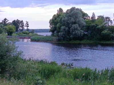 A tranquil scene unfolds at dusk near Lyepyel, Belarus, featuring a calm river flowing towards a distant, tree-lined horizon. The sky is a soft canvas of pale blue and lavender clouds, indicating the late evening hours. Dense, verdant foliage lines the riverbanks, with reeds and grasses reaching towards the water's edge.
In the mid-ground, a simple wooden bridge spans the river, with a clear path suggesting it's a pedestrian walkway. The water's surface reflects the muted sky and the surrounding trees, creating a mirror-like effect. To the left of the bridge, the landscape is dotted with trees and bushes, suggesting a park or a natural reserve. On the right, a large, mature tree with lush green leaves dominates the bank, its branches reaching outwards.
The overall atmosphere is peaceful and serene, evoking a sense of quietude and natural beauty. The light is soft and diffused, typical of twilight, casting gentle shadows and highlighting the textures of the leaves and water. There are no people or animals visible in the frame, reinforcing the sense of natural solitude. No text is present in the image.