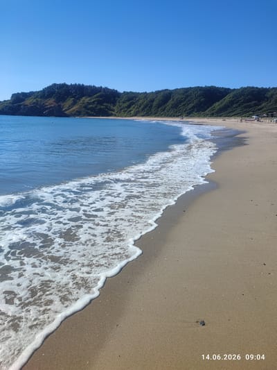 This is a full shot, eye-level, outdoor, vertical photograph of a beach in Rezovo, Bulgaria. The sun is shining brightly in a clear blue sky. The foreground is dominated by a sandy beach with a gentle wave washing ashore, creating white foam. In the mid-ground, the calm blue sea stretches out to meet a curved coastline lined with lush green trees covering rolling hills. In the background, a few people and beach umbrellas are visible on the distant shore. A date stamp in the bottom right corner reads "14.06.2026 09:04".