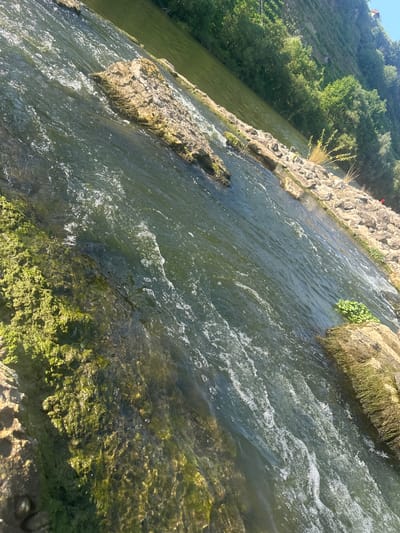 The image depicts a section of the Neckar River in Ludwigsburg, Germany, specifically at the Ludwigsburg weir. The water flows rapidly over rocks, creating white foam and ripples. The riverbanks are lined with large, rough stones, some of which are covered in green moss and algae. Lush green trees and vegetation grow on the steep embankment to the right of the river. The sunlight creates a shimmering effect on the water's surface. There are no people visible in the image.