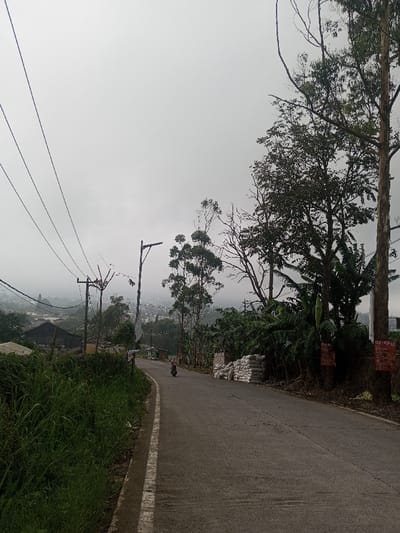 A grey asphalt road curves uphill. Lush green growth and tall trees line the right side, partially obscuring stacked bags. Utility poles and wires stretch across the sky. In the distance, buildings are veiled in mist. A motorcyclist travels up the road toward the hazy town. Posters are attached to a tree on the right side. The scene evokes a remote, slightly obscured landscape.