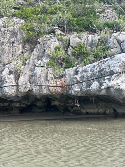 The image depicts a rocky coastline with lush green vegetation growing on the cliffs. The sea is calm with gentle ripples. In the foreground, the water is a muted olive green color. The middle ground shows a rocky overhang forming a shallow cave. A single, pink plastic chair is visible inside the cave, suspended by what appear to be ropes. Black cables run horizontally across the cliff face above the cave entrance. The environment is natural and appears to be a remote coastal area. The image does not provide any specific information to confirm the location in the city of Ban Hup Ta Khot, Thailand. There are no people visible in the image.