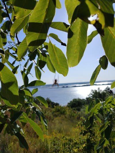 The image captures a scenic view from a tree with lush green leaves in the foreground, obscuring parts of the background. In the distance, a wide body of water, possibly a river or lake, reflects the bright sunlight. The water is bordered by a green, hilly landscape with trees and vegetation. A spider is suspended in mid-air in the center of the image, between the foreground leaves and the distant water. The overall scene suggests an outdoor environment, likely during the daytime with clear skies. The location is specified as Staiky, Ukraine, implying an agricultural or natural setting within that region. There are no people visible in the image.