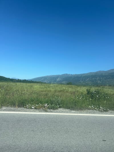 The image depicts a roadside scene with a clear blue sky occupying the left half of the frame. A mountain range is visible in the mid-ground, appearing as a darker contrast against the sky. To the right of the mountains, there is a field of green grass, some sections of which include white flowers. Adjacent to the grass is an asphalt road with a white dividing line separating it from the verge. The image is taken from a high angle. The location is possibly near Marino Pole, Bulgaria, given the presence of mountainous terrain and vegetation. No people or specific actions are directly visible.
