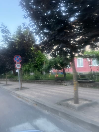 The image captures a street scene in Madan, Bulgaria, likely during daytime. The perspective is tilted, giving a sense of looking from a moving vehicle or a person leaning. In the foreground, the dark, leafy canopy of a tree dominates the left side, with sunlight dappling through its leaves. Partially obscured by the tree, a street signpost stands vertically. Two circular signs are attached to it. The sign on the left is a red and blue circle with a blue "X" inside, indicating no parking or a restricted zone. The sign on the right is a red circle with the number "40" in black, signifying a speed limit of 40.

Beyond the tree and signs, a paved sidewalk runs parallel to the street. The sidewalk is made of light-colored rectangular paving stones. Further back, a pink building with white-trimmed windows is visible, suggesting a residential or small commercial structure. Greenery, likely trees and bushes, surrounds the building and creates a backdrop. The overall atmosphere seems calm and ordinary, depicting a typical urban or suburban environment in Bulgaria. There are no visible people in the frame. The lighting suggests it's not the middle of the night, and the sky appears bright. The presence of traffic signs and a building implies an inhabited area.