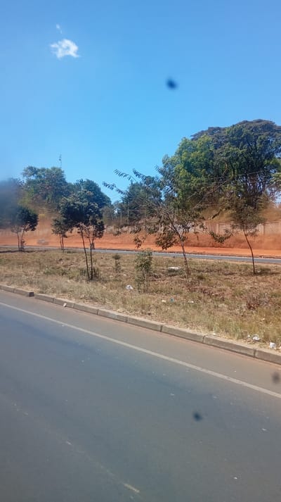The image captures an outdoor scene under a bright blue sky with a clear horizon line. The composition is split diagonally, with a paved road in the foreground occupying the bottom left, and a grassy median, a dusty area, and trees filling the rest of the frame.
In the foreground, a dark gray asphalt road runs diagonally from the bottom left corner towards the mid-right. A distinct white line marks its inner edge, and a concrete curb separates it from the adjacent grassy area. There is a small, dark, blurry spot, possibly a smudge or dust on the camera lens, visible on the road surface in the bottom right quadrant.
Above the road, a dry, unkempt grassy median stretches across the mid-ground. Several small, sparse trees with thin trunks and dark green foliage are scattered throughout this median. Patches of lighter, dry grass and some visible litter, appearing as small white pieces of plastic or paper, are on the ground.
Behind the grassy median, a significant amount of orange-red dust hangs in the air, forming a dense cloud that obscures much of the background. This dust cloud extends horizontally across the image, creating a hazy, almost opaque curtain. Through this dense dust, a dark-colored vehicle, possibly a car or SUV, can be vaguely seen on what appears to be another road or track.
Further back, beyond the dust, a line of tall, dense trees with dark green canopies is visible against the sky, suggesting a wooded area. Partially obscured by the dust, a light-colored wall or fence runs horizontally in the upper mid-ground, separating the dusty area from the background trees.
The sky in the upper portion of the image is a clear, vibrant blue. One small, fluffy white cloud is visible in the upper left corner. A prominent dark, blurry spot, similar to the one on the road, is noticeable in the upper right sky, indicating a possible camera lens or sensor imperfection.
The scene appears to be set during daytime, under bright sunlight, suggesting a clear day despite the localized dust. The orange-red color of the dust indicates a specific type of soil, likely laterite, common in certain regions. No text is visible in the image.