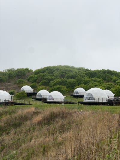 The image shows a series of dome-shaped structures situated on a grassy area next to a forested slope. The structures appear to be made of white material with framed window sections. They are elevated on platforms with what appear to be metal railings or walkways connecting them. The sky is overcast and appears gray. The location is Zarubino, Russia.