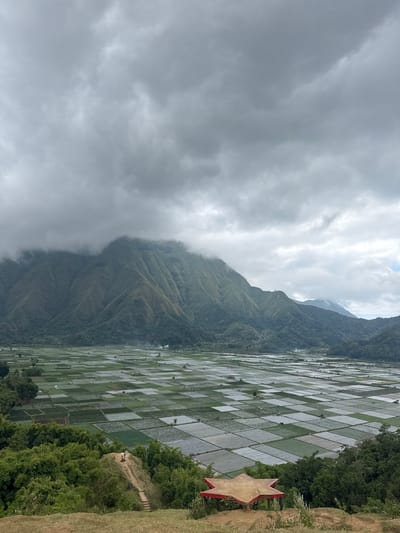 The image depicts a scenic landscape of Sembalun Lawang, Indonesia, featuring agricultural fields and mountains under a cloudy sky. In the foreground, a star-shaped wooden structure with a red frame is visible, positioned on a grassy mound. A dirt path with steps leads up to this structure. Further down the slope, two individuals are seen walking on the path amidst lush green trees. The middle ground is dominated by a vast expanse of agricultural fields, meticulously divided into numerous square plots. Some plots appear to be covered with clear plastic sheeting, while others are filled with water or planted with crops. Scattered throughout the fields are small structures, possibly sheds or homes. In the background, a range of majestic mountains rises, their slopes covered in green vegetation. The peaks of the mountains are partially obscured by dense clouds, adding a dramatic atmosphere to the scene. The overall impression is one of a tranquil, rural setting characterized by natural beauty and agricultural activity.