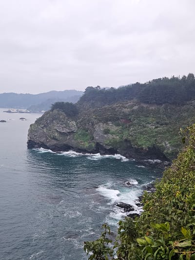 The image shows a rocky coastline in Hualpén, Chile. The cliff face is covered in vegetation, including trees and shrubs. The ocean waves crash against the rocks. The sky is overcast.
