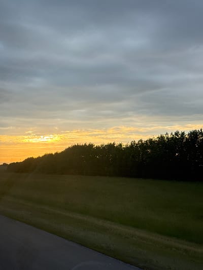 The image depicts a landscape scene with a cloudy sky, a line of trees, a grassy field, and a road. The sky is predominantly gray with some lighter patches of yellow and orange near the horizon, suggesting a sunset or sunrise. A dense row of dark green trees forms a distinct line across the middle of the frame, separating the sky from the field. The field is a muted green color, with some textures and variations in light and shadow. In the foreground, a dark gray asphalt road runs diagonally from the bottom left corner. The image does not contain any people or animals, and there are no discernible buildings or structures within the frame, beyond the possibility of distant, indistinct features on the horizon. The scene appears to be a natural or semi-rural environment. The location in Shali, Russia, is not visually apparent from the image itself.