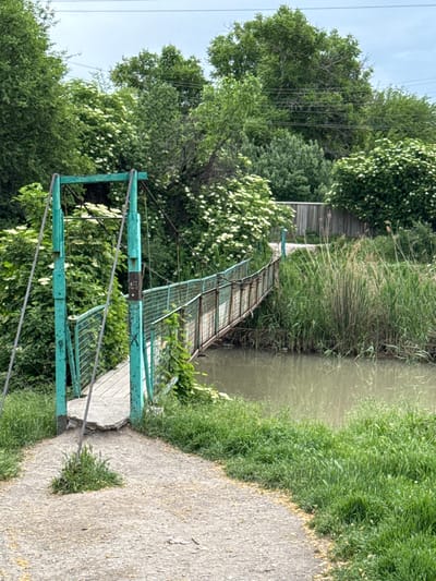 A tranquil outdoor scene in Alamüdün, Kyrgyzstan, captures a rustic suspension bridge spanning a narrow, murky canal or river. The image is taken on a bright, clear day, likely morning or afternoon, with a blue sky visible overhead.

The central subject is a small bridge with a wooden plank walkway and metal railings painted a faded teal or green. Multiple thin suspension cables support its structure, and sections of the bridge show signs of age, with some greenery growing over the metalwork. The bridge curves gently as it crosses the water, appearing to connect two verdant banks.

The canal itself is narrow, filled with light brown-green, murky water. Both banks are densely vegetated; the far side is lined with tall, thick green reeds and grasses, behind which a wooden fence or wall is partially visible. On the near side, a concrete or paved path leads up to the bridge, with small tufts of grass pushing through its cracks.

The surrounding environment is lush with greenery. Dense trees and bushes, some adorned with small white blossoms, frame the entire scene. In the upper left portion of the image, several thin power lines are visible against the clear sky, hinting at some human infrastructure amidst the natural setting. No people or specific activities are depicted, lending a peaceful and somewhat untouched ambiance to the scene. There is no visible text in the image.
