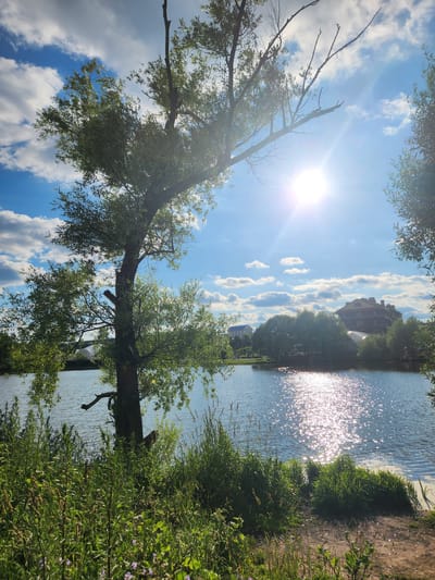 In Yudino, Russia, a tranquil scene unfolds by a sun-dappled lake. A lone willow tree, its branches reaching towards the bright sky, stands prominently in the foreground, its leaves rustling in a gentle breeze. The sun's rays pierce through the tree's canopy, creating a shimmering effect on the water's surface. Lush green vegetation lines the lake's edge, with patches of wildflowers adding a touch of color. Across the lake, buildings and more trees dot the landscape, suggesting a suburban or park-like environment. The sky is a vivid blue, dotted with fluffy white clouds, indicating a clear, sunny day.