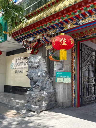 The image captures the vibrantly decorated entrance of the Agricultural Bank of China, Lhasa Branch, located in Chengguan District, China, under bright daylight. No people are present in the scene.
The building entrance features traditional Chinese architectural elements, including an elaborate overhead structure with richly painted eaves in red, gold, blue, and green, adorned with intricate patterns and golden accents. A large, spherical red Chinese lantern hangs from these eaves, displaying the gold characters "招財進寶" (Zhāo cái jìn bǎo), which convey wishes for ushering in wealth and prosperity.
Two imposing, intricately carved stone guardian lions (foo dogs) stand on ornate pedestals, flanking the entrance. Above the main entrance, a prominent sign for the bank is visible, displaying "中国农业银行" (Agricultural Bank of China) in Chinese, "AGRICULTURAL BANK OF CHINA" in English, and "拉萨分行" (Lhasa Branch), along with its Tibetan script equivalent.
To the right of the entrance, a green sign provides information: "今日限号(尾号)" (Today's restricted number (last digit)) followed by the number "5," suggesting a specific queue or service restriction. This sign also features the Agricultural Bank of China logo and Tibetan text for "Agricultural Bank." A smaller gray sign is also visible.
The ground is paved with stone tiles, and the clear, distinct shadows cast by the building and objects indicate a sunny day. Green foliage, possibly bamboo, is visible on the left side of the frame, adding natural contrast to the ornate structure. A decorative metal gate or grille is seen above the entrance area.