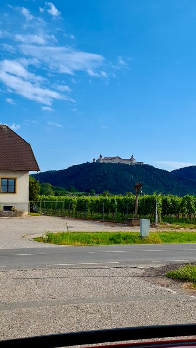 This is a photograph of a vineyard in the city of Palt, Austria, with a building and a monastery visible in the background. The photograph is taken from a low angle, looking up at the vineyard and the monastery on the hill. The sky is blue with some white clouds.
In the foreground, there is a gravel road and a green lawn. To the left, there is a portion of a house with a brown roof and a window. Behind the house, there is a fence that encloses a vineyard with rows of grapevines. In the middle ground, there is a wooden post with a birdhouse. In the background, on top of a tree-covered hill, stands a large, ornate monastery. The monastery is white with red-tiled roofs and several towers. The overall impression is one of a peaceful rural landscape.