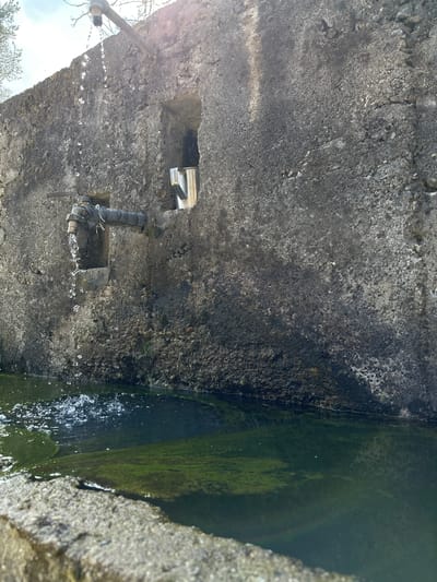 The image displays a weathered concrete water fountain in Srednogortsi, Bulgaria, illuminated by direct sunlight. A rough, dark grey concrete wall, exhibiting areas of discolouration and texture, constitutes the primary background. An older, dark-colored pipe extends from the upper section of the wall, from which water drips intermittently. Below, a second, more robust metal pipe, partially wrapped in light-colored material, protrudes from a small rectangular alcove, actively flowing water into a rectangular concrete basin. This basin is filled with still, dark green water indicative of algae growth, where the falling water creates discernible splashes and ripples. Within another rectangular alcove to the right of the lower pipe, a reflective, silver-toned metal pitcher or mug with a handle rests. The sky, bright with faint clouds, and bare tree branches are visible above the wall. No individuals or animals are present in the scene. A subtle lens flare or rainbow refraction is visible within the basin's water surface on the lower right.