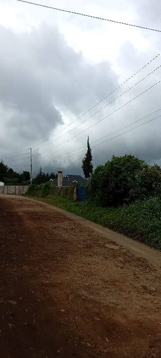 The scene is located in Gatakaine, Kenya. An unpaved, reddish-brown dirt road occupies the foreground and midground, exhibiting an uneven surface and curving gently to the left. The sky above is entirely covered by dark grey, overcast clouds. Along the right side of the road, a dense, green bush with substantial foliage extends. On the left, a light-colored wooden fence runs parallel to the road. Behind the fence, a residential building is visible, featuring white walls, a dark-colored pitched roof with multiple dormer windows, and a prominent light-colored brick chimney topped with a reddish cap. A blue metal gate is positioned near the house, to the right of the chimney. A wooden utility pole stands on the left side, supporting several thin, dark power lines that traverse the upper portion of the frame diagonally. No individuals or animals are present.