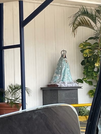 The image, rotated 90 degrees counter-clockwise, depicts a religious statue, likely of the Virgin Mary, positioned outdoors. The statue is adorned in a light blue gown with white lace trim and wears a crown, standing on a dark, possibly gray or black, pedestal or base.

Behind the statue is a light-colored wall featuring horizontal paneling. Lush green foliage surrounds the statue, including broad-leaved plants with yellow variegation visible above it, and a large palm frond extending into the scene from the left. Further in the background, a dark gray architectural element and a bright yellow vertical pole are partially visible.

In the foreground, a dark blue metal railing with a diagonal support crosses the lower portion of the frame. A significant part of the right side is obscured by a dark, reflective surface, likely from a vehicle's window frame or exterior, suggesting the photograph was taken from inside or adjacent to a car. Another smaller palm frond is visible near the bottom right. The scene is brightly illuminated, indicating daytime. There is no visible text or direct activity. The presence of the religious statue and tropical vegetation aligns with the provided context of Puerto La Cruz, Venezuela, suggesting an outdoor devotional display.