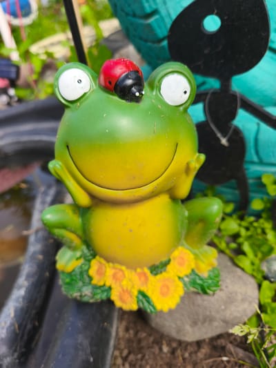 A close-up, eye-level shot focuses on a cheerful, bright green and yellow ceramic frog figurine with large, wide-set eyes. A red and black ladybug is perched on the frog's head. The frog is adorned with a ring of small, yellow, sunflower-like decorations around its base. It sits on a bed of green foliage and a grey rock, with dark soil visible in the foreground. In the background, a blurred, teal-colored object with a black silhouette of an ant-like figure is visible. The scene appears to be outdoors, possibly in a garden or park setting, with natural light illuminating the figurine. The image does not contain any elements that would suggest a specific location in Puchezh, Russia, or any other city.