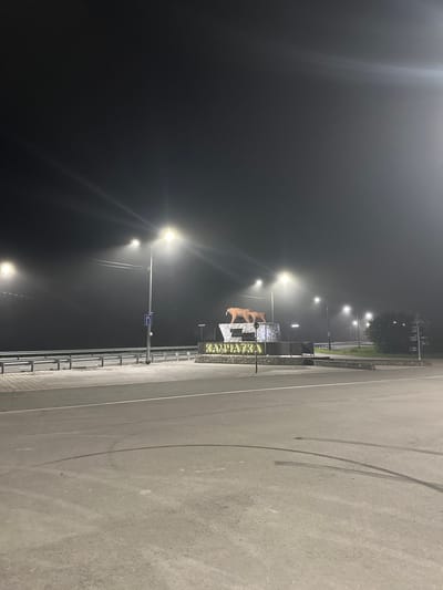 An outdoor nighttime shot captures a fog-laden scene in Pionersky, Russia, featuring a monument that appears to be a bear and "KAMCHATKA" signage, illuminated by streetlights and a bright light source on the right. The monument is situated on a rocky base and a lower stone structure with "KAMCHATKA" written in large, illuminated Cyrillic letters. Two bear statues are prominently displayed atop the rocky base. In the foreground, a paved road with tire marks is visible, along with a sidewalk bordered by a metal guardrail. Several streetlights line the roadside, casting bright light beams that cut through the fog. A blue traffic sign is mounted on one of the lampposts. The background is obscured by the thick fog and darkness.