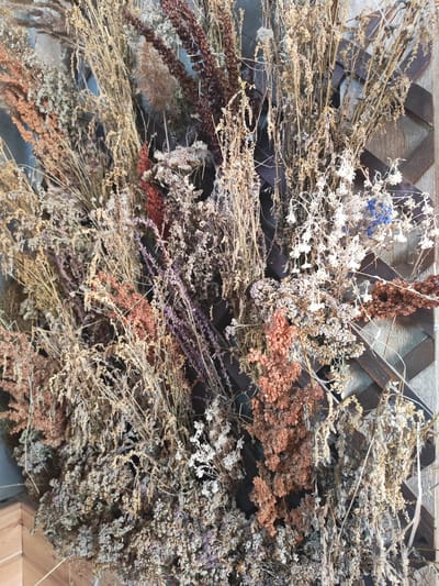The image displays a close-up, eye-level, vertical, full shot of a dried botanical arrangement. The arrangement consists of various dried grasses, flowers, and seed pods in shades of beige, brown, rust, white, and a hint of purple and blue. The dried plants are densely packed and hang downwards, creating a textured and somewhat chaotic visual. Behind the arrangement, a dark, lattice-like wooden structure is visible, suggesting it is part of a wall or screen. The overall impression is of a rustic, natural decoration. There are no people, animals, or any explicit actions depicted in the image. The context of Mokhovichki, Russia is not evident from the visual information provided in the image.