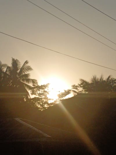 The image displays an outdoor scene in Teupinjok, Indonesia, illuminated by direct, low-angle sunlight, indicative of either sunrise or sunset. The sun, a brilliant white light source, is centered horizontally just below the image's vertical midpoint, emitting intense light and a prominent diagonal lens flare extending from the lower right. The upper two-thirds of the frame consist of a pale orange-yellow sky. Three dark, thin utility lines traverse the upper sky horizontally. Dense tropical vegetation, including a prominent palm tree with fronds on the left, forms an irregular silhouette along the horizon, partially obscuring the sun. The lower third of the image is in deep shadow. A dark, angled structure, consistent with a rooftop, occupies the lower left quadrant. A lighter, angular object with a 'Z' or 'N' configuration rests on this structure. No individuals or discernible actions are present.