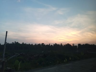 The image depicts a rural landscape at dusk in Awegeutahpaya, Indonesia. The sky is a gradient of pale blue transitioning to a warm orange and yellow hue near the horizon, indicative of sunset. A line of dark silhouettes of palm trees stretches across the middle ground, creating a dense forest edge. In the foreground, there is an unpaved road or path with a scattering of green foliage and some debris, including logs and branches. A vertical wooden post stands prominently on the left side of the frame, partially obscuring the trees. The overall impression is one of natural serenity as daylight fades.