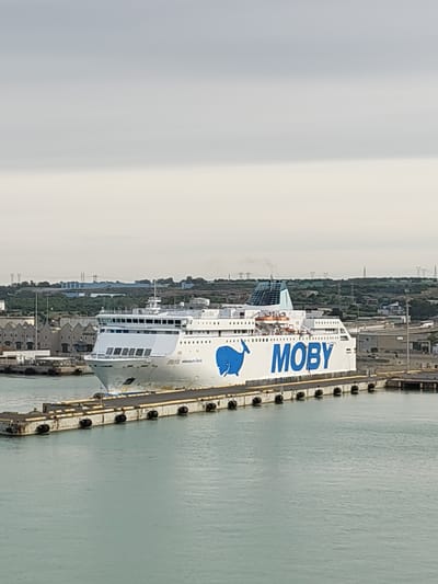 The image shows a large, white Moby Lines ferry docked at a port in Civitavecchia, Italy. The ferry has a large blue whale and the word "MOBY" printed on its side. It is moored alongside a concrete pier with rubber bumpers. In the background are industrial buildings, vegetation, and electrical pylons. The sky is overcast, and the water is a light green-blue.