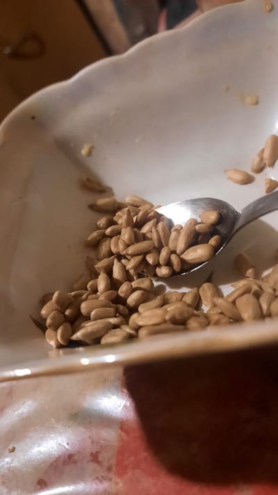 The image depicts a close-up view of a white bowl filled with a pile of sunflower seeds. A metal spoon is partially submerged in the seeds, scooping some of them up. The bowl has a slightly wavy edge and appears to be made of ceramic. The background is out of focus, showing a wooden surface and hints of red and white patterns, possibly from a tablecloth. The lighting suggests an indoor environment, possibly a home. There is no indication of the city of Samar, Ukraine.