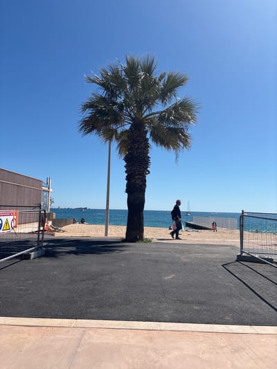 A palm tree stands prominently on the left. Adjacent to it is a pedestrian walkway bordering the beach on the right. The walkway is paved with asphalt and has a curb separating it from the beach. Further to the right, the sandy beach is visible with a few people sunbathing and walking. Beyond the beach is the blue sea. The sky above is clear blue. A building with construction fencing is to the bottom left. The photograph appears to be taken in Fréjus, France, given the environment.