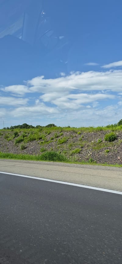 The image captures a view from a moving vehicle, likely on a highway or main road, with the asphalt road surface occupying the lower portion of the frame. A white line demarcates the lane. To the left of the road, a steep, rocky embankment is covered with sparse green vegetation. Beyond the embankment, a line of trees forms a horizon against a bright blue sky dotted with scattered white clouds. Several tall, thin lamp posts are visible along the top of the embankment. Reflections are visible in the upper part of the image, suggesting the photo was taken through a window. The overall scene depicts a natural roadside landscape under a clear sky. No people or specific city landmarks of Gorodechnoe, Russia are identifiable in this image.