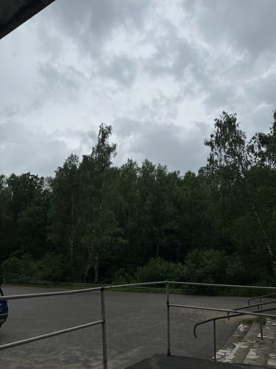The image depicts an overcast sky with layered gray clouds over a dense forest of deciduous trees, primarily birch, with some darker evergreens interspersed. In the foreground, a paved area, possibly a parking lot or pathway, is bordered by a metal railing system. Part of a dark-colored vehicle is visible on the left side. The railing is weathered and shows signs of rust. To the right, a concrete structure with visible cracks and what appear to be mosaic tiles leads upwards, suggesting an entrance or walkway. The overall scene suggests an outdoor, possibly urban or suburban, setting in Nikazhel, Russia, on a cloudy day. There are no people visible in the image.