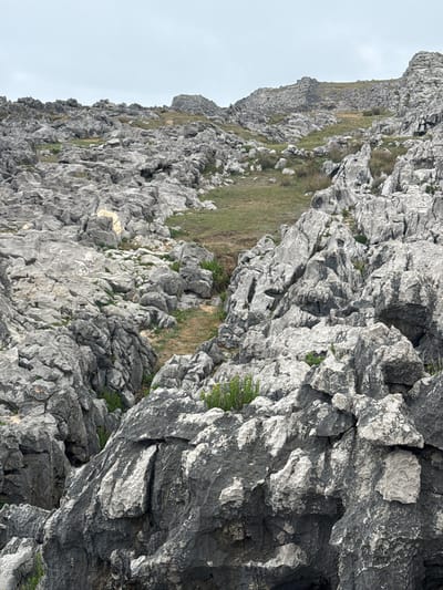This image shows a close-up view of a rocky mountainside in Llanes, Spain. The terrain is rugged and uneven, with large, grey rocks dominating the foreground and midground. Some patches of green grass and sparse vegetation can be seen growing between the rocks, suggesting a natural, undeveloped environment. The sky appears overcast, indicating a cloudy day. The perspective is angled, looking up the mountainside, with the bulk of the rocks filling the frame and a sliver of the pale sky visible on the left. The texture of the rocks is detailed, showing cracks, fissures, and variations in shading that highlight their rough surfaces. There are no people or man-made objects visible in the image, focusing entirely on the geological features of the mountainside. The overall impression is one of natural, rugged beauty.
