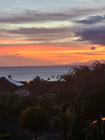 A vibrant sunset paints the sky over the ocean in Napili, Hawaii, casting hues of orange, pink, and purple across the clouds. The water reflects the warm glow, creating a serene seascape. In the foreground, lush green palm trees and other tropical foliage frame the view, their dark silhouettes contrasting with the illuminated sky. A house with solar panels on its roof is visible on the left, nestled among the trees. The overall scene evokes a peaceful, tropical evening ambiance.