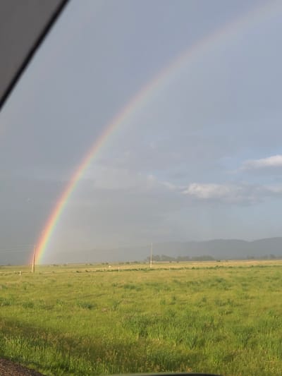 This image captures a natural phenomenon: a rainbow arcs across a cloudy sky over a rural landscape. The foreground is dominated by a vast, green, grassy field, suggesting an open, natural environment. In the middle ground, several utility poles are visible, indicating some infrastructure. The background features a hazy silhouette of distant hills or mountains. The sky itself is partly cloudy with a noticeable gradient from light to dark, with the rainbow prominently displaying its spectrum of colors. There are no people or specific structures identifiable within the city of Райков, Russia, in this image; it depicts a general outdoor scene.