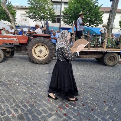 In Vila Verde, Portugal, a woman in traditional dress, featuring a black skirt and a white and black patterned headscarf, walks across a cobblestone street, holding a fan. She is captured mid-stride, her face turned to the right, and her fan is open in her hand. Behind her, a red tractor with the number "60-66s" visible on its side is parked, and a trailer laden with corn stalks is being pulled by another tractor or vehicle out of frame to the right. Several people are gathered around the tractor and trailer, some appearing to be spectators. The scene is set on a bright, possibly sunny day, with green trees and buildings forming the backdrop. The cobblestone street is littered with fallen flower petals.