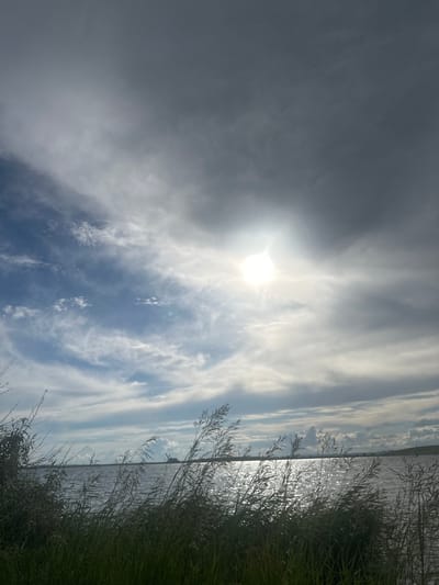 This is a vertical, eye-level, outdoor, wide-angle shot of a lake and sky on a bright, cloudy day. The sun is visible and is peeking through the clouds, creating a bright glare. The sky is filled with streaks of white clouds against a blue background. The lake is to the right of the frame and reflects the sunlight, creating a shimmering effect. The foreground is dominated by tall, green grass and reeds, which are silhouetted against the water and sky. The image evokes a sense of peace and tranquility. There is no visible text in the image. The location is Ozyorny, Russia.