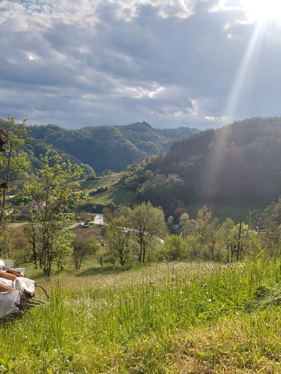 The image shows a landscape view from a high vantage point. In the foreground, there is green grassy vegetation on the right, transitioning to a field with a mix of grass and small white flowers. There's a pile of materials covered with white plastic.

In the middle ground, a valley stretches into the distance, featuring a mix of deciduous trees and coniferous forest-covered hills. A few buildings and roads are visible in the valley.

In the background, a mountain rises steeply, covered in a dense forest. The sky is partially cloudy, with the sun shining through, creating beams of light.

There are no people visible in the image. The location is in a rural area with mountainous terrain. There is no city visible, so the claim that the location is in the city of Kozarka, Bulgaria, cannot be confirmed without further information.