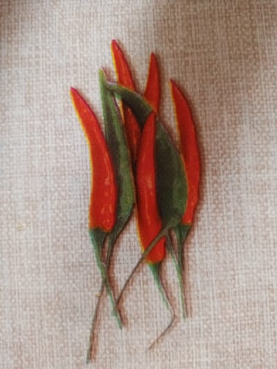 The image shows a close-up of several bright red chili peppers with green stems and leaves arranged in a cluster. They are laid out on a textured, light-colored background, possibly a fabric or burlap material. The lighting is even, and there are no strong shadows, suggesting an indoor setting or overcast conditions. The composition focuses solely on the chili peppers, with no other objects or people visible. The peppers appear fresh and vibrant. There is no visible text in the image.