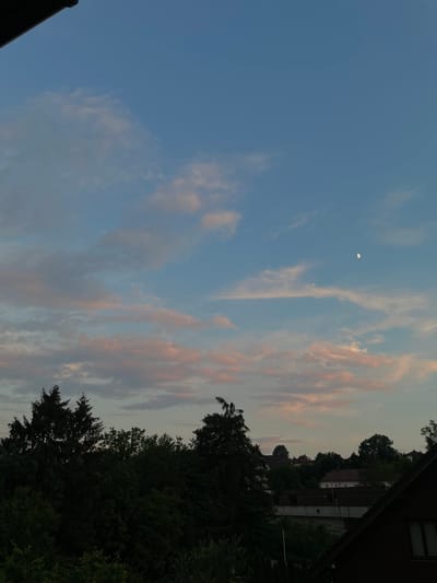 The image depicts a twilight sky over a residential area. The sky is a blend of blue and soft pink hues, with scattered clouds. A crescent moon is visible in the upper right quadrant of the sky. Below the sky, a dense line of dark green trees forms the foreground. Behind the trees, the rooftops of several houses are visible, interspersed with more greenery. The architecture of the houses suggests a European setting. The overall impression is a peaceful evening scene. The image does not contain any people or visible actions.