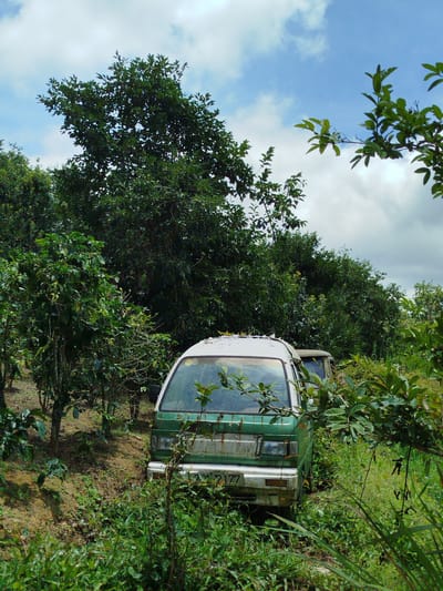 An abandoned green and white van is parked amidst dense foliage and trees in Xuân Sơn, Vietnam. The van's paint is peeling and weathered, suggesting it has been left for some time. The surrounding environment is overgrown with lush green vegetation, including trees, bushes, and tall grass, creating a natural, unkempt appearance. The sky above is partly cloudy with a mix of blue sky and white clouds. The scene evokes a sense of neglect and nature reclaiming the man-made object.