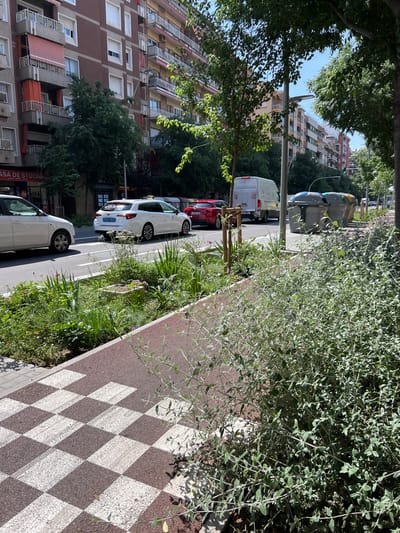 The image captures a street scene in Granollers, Spain. The viewpoint is from the sidewalk, characterized by a checkered pattern of brown and white paving stones. A line of cars is parked along the street, including a white car partially visible in the foreground, a white station wagon with a taxi sign on its roof, a white sedan, and a red car further down the street. A white van is also visible in the distance. The street is flanked by buildings, including a multi-story building with brown and beige facade on the left side. Trees line the street, and a large bush occupies the right foreground, partially obscuring the view. Three trash containers are positioned by the side of the road in the distance. Sunlight is casting shadows across the sidewalk and the street. The image suggests a typical urban environment during daytime in Granollers.
