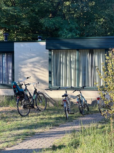 The image depicts a sunny scene outside a modern, single-story building with a light-colored brick facade and dark green trim. Four bicycles are parked on a paved pathway in front of the building. One bicycle, a black Gazelle, is positioned closest to the building on the left and features a child seat. To its right, three other bicycles are parked, two of which are leaning against each other. The background is dominated by lush green trees, casting dappled shadows on the building and the ground. The environment appears to be a residential or recreational area, possibly in the city of Heijen, Netherlands, given the context. The lighting suggests it is daytime, with the sun positioned to the left, creating strong highlights and shadows.
